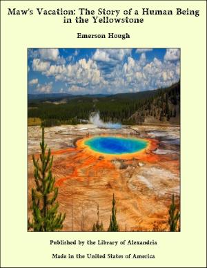 bigCover of the book Maw's Vacation: The Story of a Human Being in the Yellowstone by 