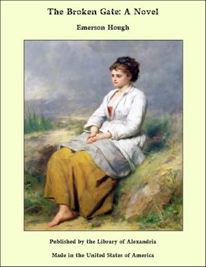 Cover of the book The Broken Gate: A Novel by Nathaniel Hawthorne