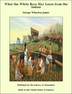 Cover of the book What the White Race May Learn from the Indian by George Madden Martin