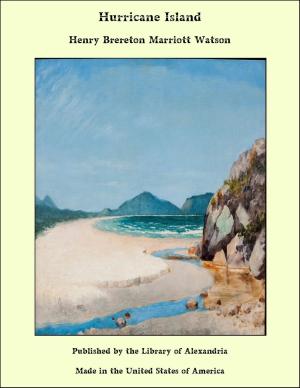 Cover of the book Hurricane Island by Paul Bourget