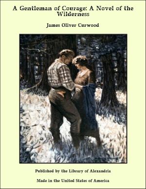 Cover of the book A Gentleman of Courage: A Novel of the Wilderness by Frederic H. Sawyer