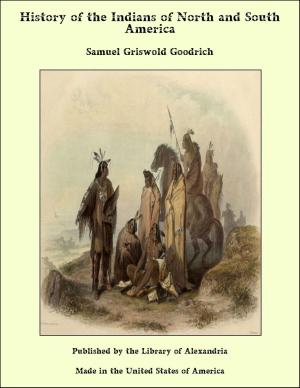 Cover of the book History of the Indians of North and South America by Michael L. Rodkinson