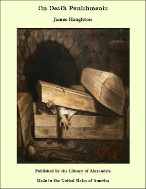 Cover of the book On Death Punishments by Evelyn Raymond