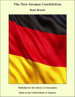 Cover of the book The New German Constitution by Waldemar Bogoras