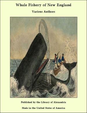 Cover of the book Whale Fishery of New England by J. Allan Dunn