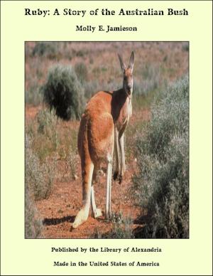 Cover of the book Ruby: A Story of the Australian Bush by Unknown