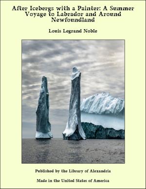 Cover of the book After Icebergs with a Painter: A Summer Voyage to Labrador and Around Newfoundland by James Parton