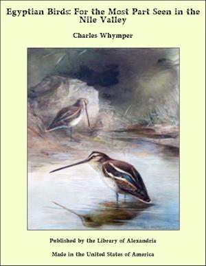 Cover of the book Egyptian Birds: For the Most Part Seen in the Nile Valley by August Strindberg