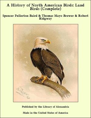 Cover of the book A History of North American Birds: Land Birds (Complete) by Artemus Ward