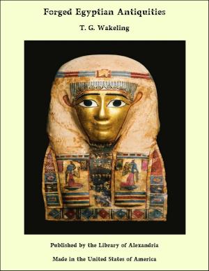 Book cover of Forged Egyptian Antiquities
