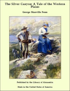 bigCover of the book The Silver Canyon: A Tale of the Western Plains by 