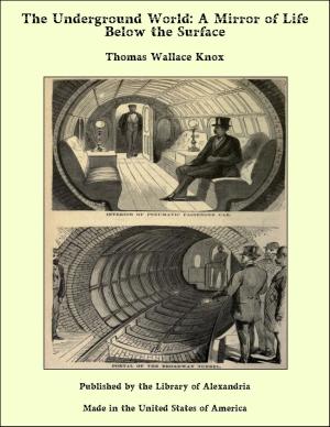 Cover of the book The Underground World: A Mirror of Life Below the Surface by Bjørnstjerne Bjørnson