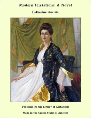 Cover of the book Modern Flirtations: A Novel by Evelyn Raymond