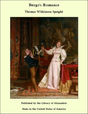 Cover of the book Burgo's Romance by Charles Sealsfield