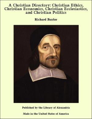 Cover of the book A Christian Directory: Christian Ethics, Christian Economics, Christian Ecclesiastics, and Christian Politics by Horace Elisha Scudder