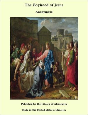 Cover of the book The Boyhood of Jesus by Robert Montgomery Bird