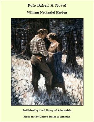 Cover of the book Pole Baker: A Novel by Karl Nordlund