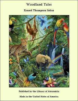 Cover of the book Woodland Tales by DuBose Heyward