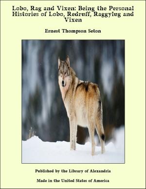 Cover of the book Lobo, Rag and Vixen: Being the Personal Histories of Lobo, Redruff, Raggylug and Vixen by George Meredith