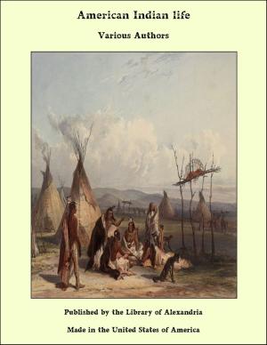 Cover of the book American Indian Life by Isabel Cooper-Oakley