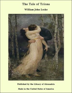 Cover of the book The Tale of Triona by J. William Lloyd