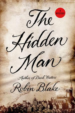 Cover of the book The Hidden Man by Michael Palin