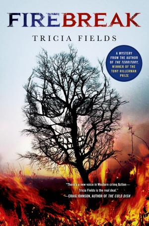Cover of the book Firebreak by P. T. Deutermann