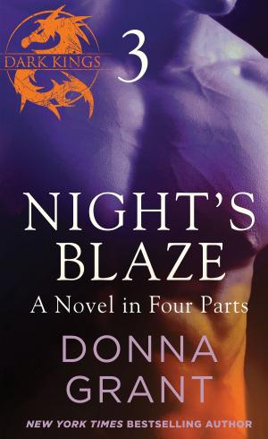 Cover of the book Night's Blaze: Part 3 by Bob Knight, Bob Hammel