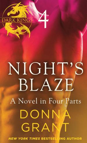 Cover of the book Night's Blaze: Part 4 by Janet Evanovich, Ina Yalof