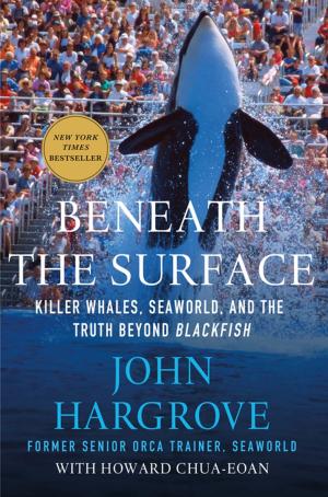 Cover of the book Beneath the Surface by Peter Aleshire
