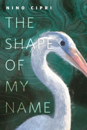 Cover of the book The Shape of My Name by Andrea Domanski