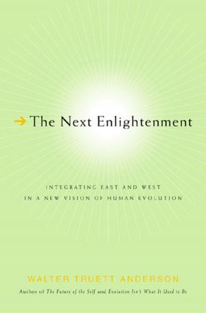Cover of the book The Next Enlightenment by Tim Freke & Peter Gandy