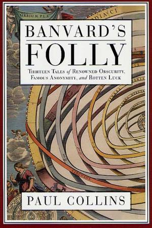 Cover of the book Banvard's Folly by Paul Auster