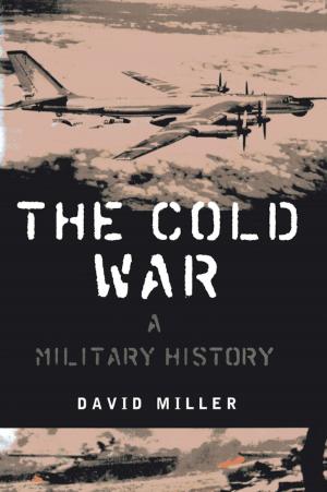 Cover of the book The Cold War by Bridget McNulty