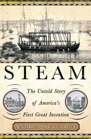 Cover of the book Steam by David Poyer