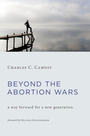 bigCover of the book Beyond the Abortion Wars by 