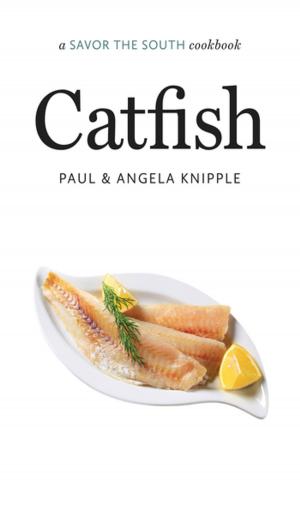 Cover of the book Catfish by John G. Barrett