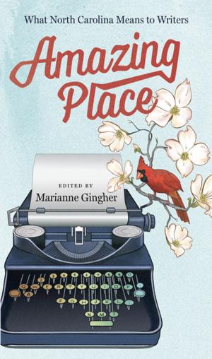 Cover of the book Amazing Place by 
