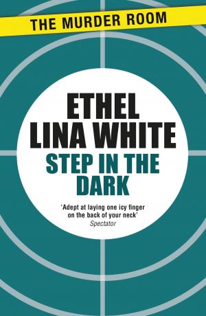 Cover of the book Step in the Dark by Ann O'Loughlin