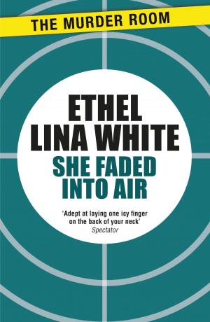 Cover of the book She Faded into Air by Stephen Hunt