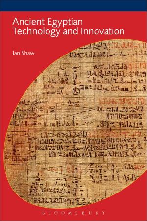 Book cover of Ancient Egyptian Technology and Innovation