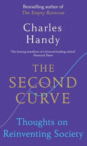 Cover of the book The Second Curve by Dr David Gates