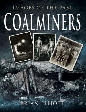 Cover of the book Coal Miners by Vivien Newman