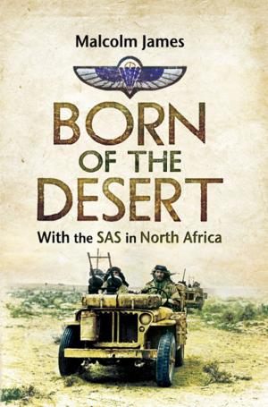 Cover of the book Born of the Desert by John Grehan