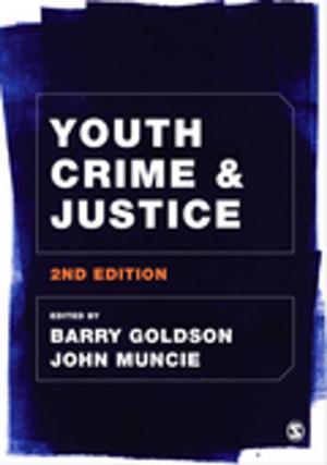 Cover of the book Youth Crime and Justice by Dr. Ansel L. Woldt, Dr. Sarah M. Toman