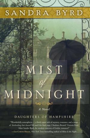 bigCover of the book Mist of Midnight by 