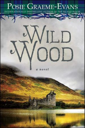 Book cover of Wild Wood