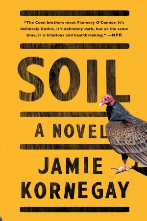 Cover of the book Soil by Michael Groover