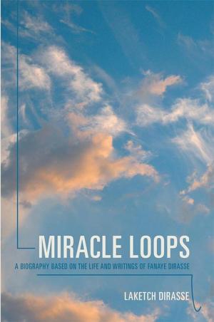 Cover of the book Miracle Loops by Joe Gwerder