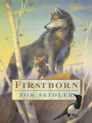 Cover of the book Firstborn by Phyllis Reynolds Naylor